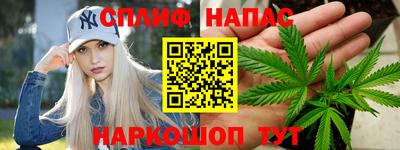 тгк Славгород