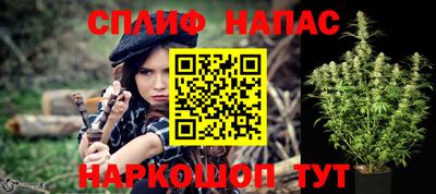тгк Славгород
