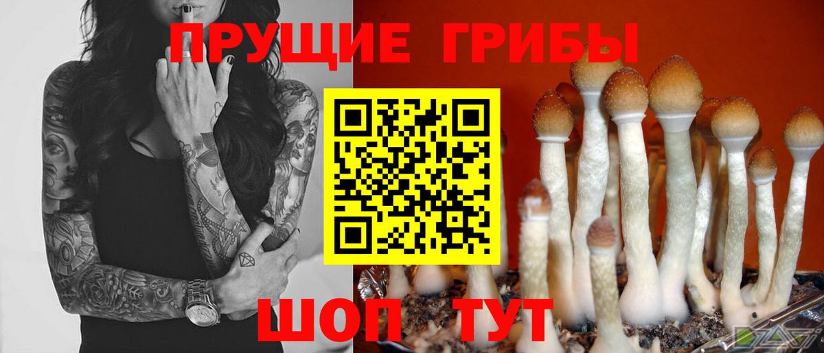 Арсеньев  Галлюциногенные грибы Magic Shrooms  Вход с VPN  Галлюциногенные грибы мицелий 